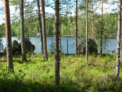 Apaja