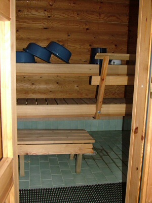 Erloitsu sauna